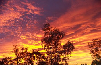 Needles KOA Journey Photo