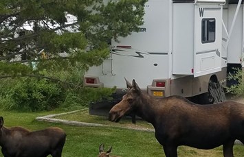 Grand Lake / Rocky Mountain National Park KOA Journey Photo