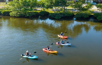 St. Petersburg / Madeira Beach KOA Holiday Photo