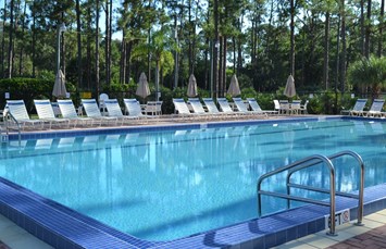 West Palm Beach / Lion Country Safari KOA Journey Photo