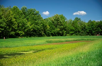 Louisville South KOA Holiday Photo
