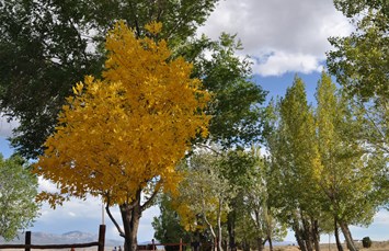 Ely KOA Journey Photo