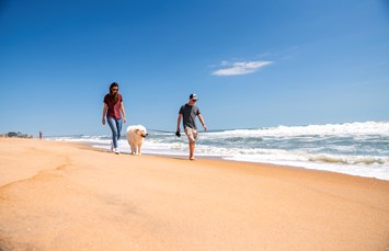 Cape Hatteras / Outer Banks KOA Resort Photo