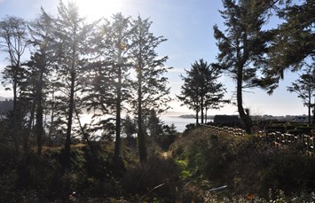 Waldport / Newport KOA Journey Photo