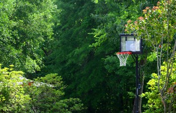 Charleston KOA Holiday Photo