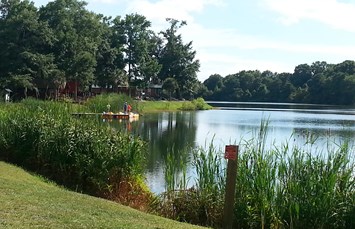 Mount Pleasant / Charleston KOA Holiday Photo