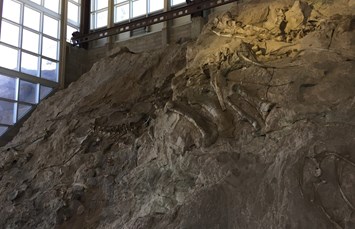 Vernal / Dinosaurland KOA Holiday Photo