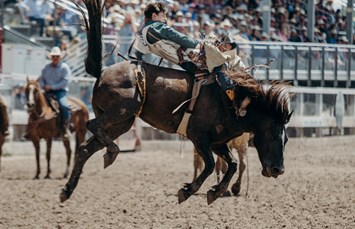 Sheridan / Big Horn Mountains KOA Journey Photo