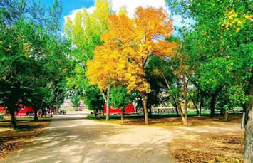 Drumheller / Dinosaur Trail KOA Holiday Photo