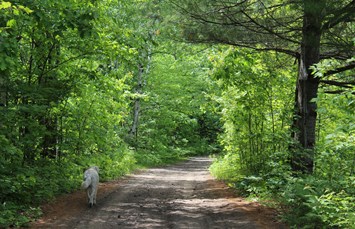 Parry Sound KOA Holiday Photo