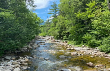 Littleton / Franconia Notch KOA Holiday Photo